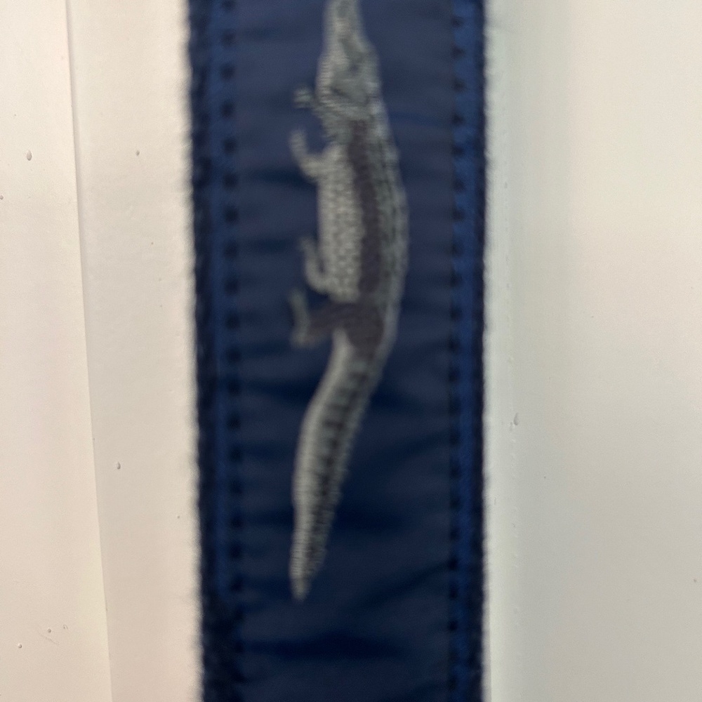 Belt with alligator print